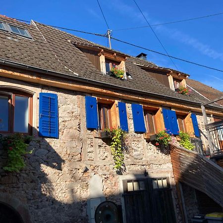 Les Gites Du Raceme Blienschwiller Exterior foto