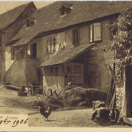 Les Gites Du Raceme Blienschwiller Exterior foto