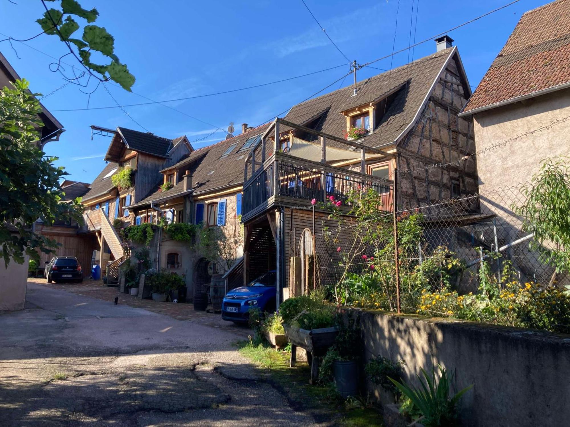 Les Gites Du Raceme Blienschwiller Exterior foto